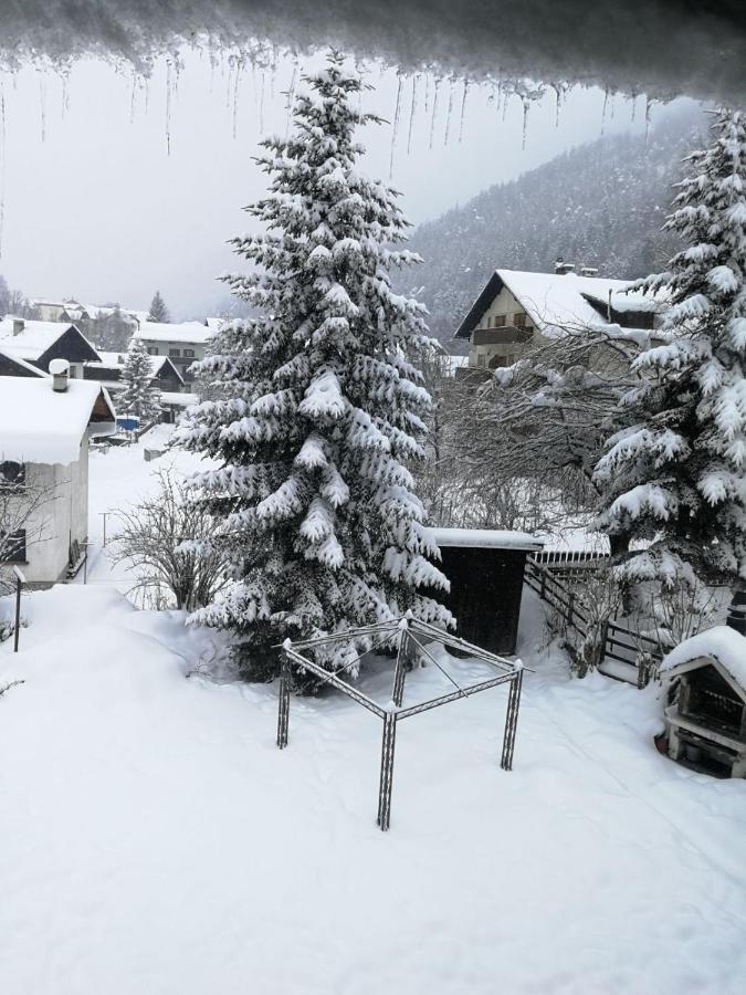 Rododendro 10 * Tarvisio
