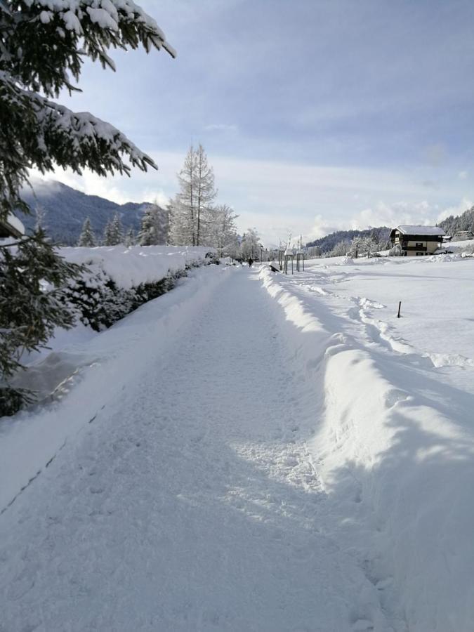 Apartment Rododendro 10 Tarvisio